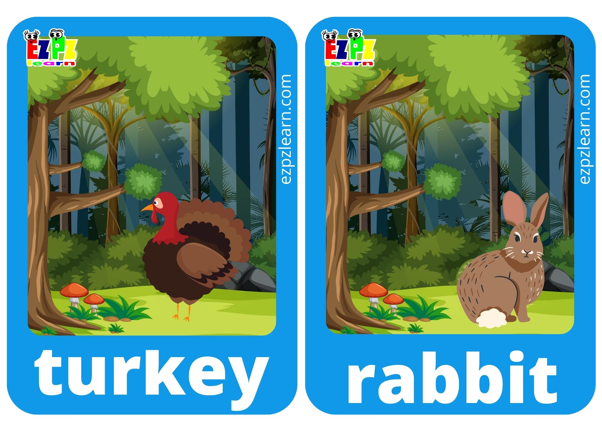 turkey and rabbit